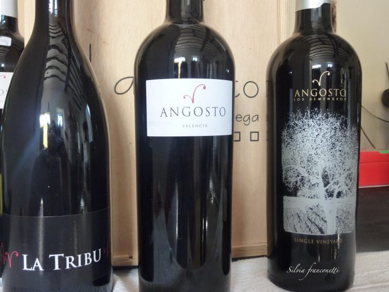 Bodegas El Angosto - Amigastronomicas