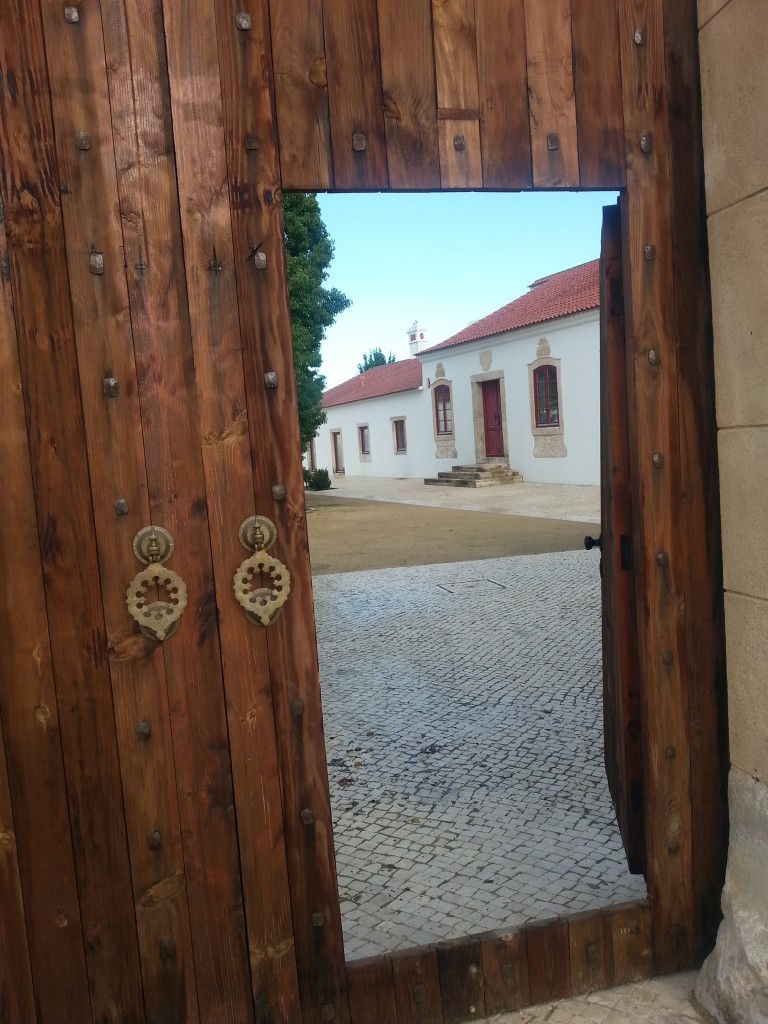 Vinos de Portugal2 de Quinta da Pala_Mar Galván