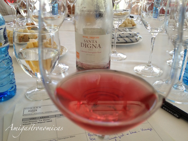 santa-digna-2012-cabernet-sauvignon-rosc3a9-reserva