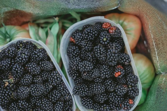 10 recetas con moras