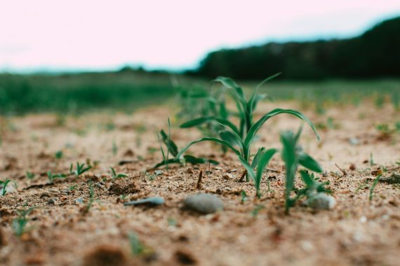 El cambio climático amenaza