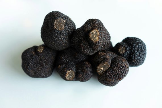 Trufa negra