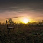 Vendimia amanecer Bodegas Sommos