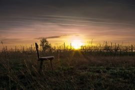 Vendimia amanecer Bodegas Sommos