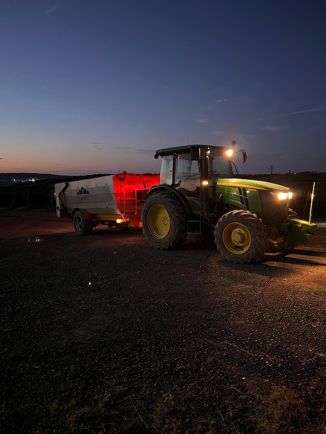 Sunrise in  Bodegas Sommos