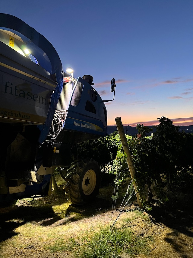 Sunriser Bodegas Sommos