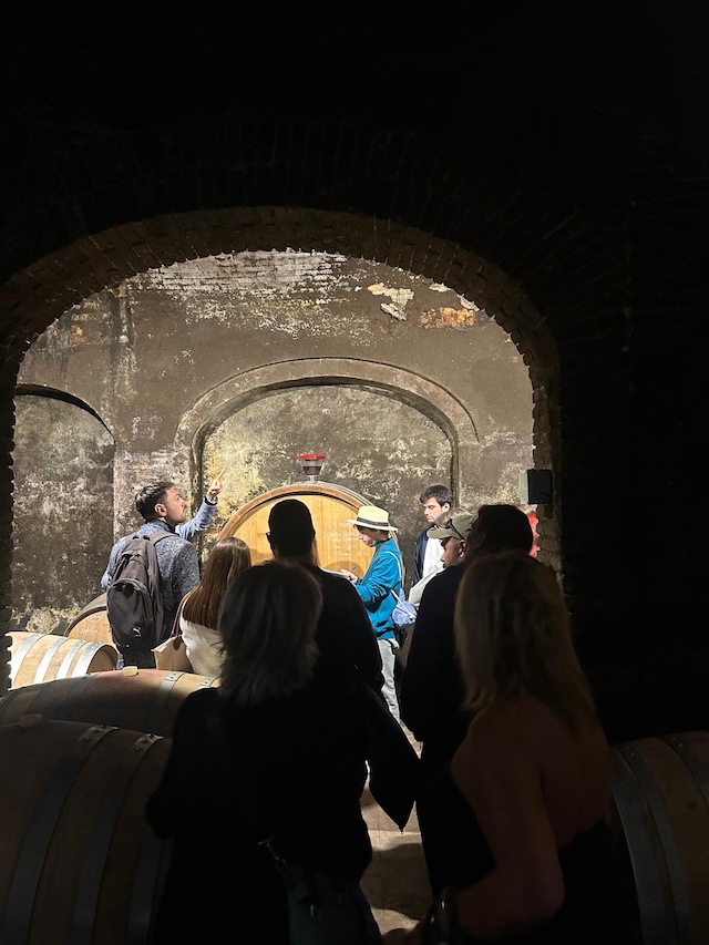 Cata de vino en invierno en una bodega tranquila