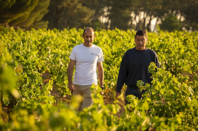 Dani y Julio recorriendo las viñas 