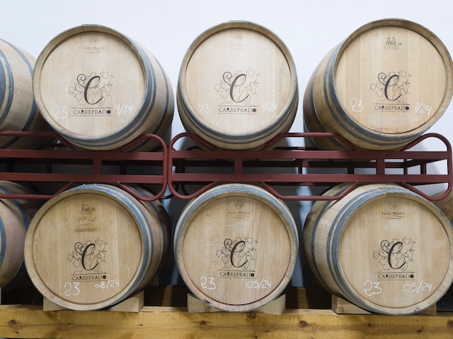 bodegas pequeñas en España en el Cerrato palentino
