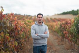 bodegas pequeñas en España viñedo Cerrato palentino