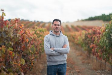 bodegas pequeñas en España viñedo Cerrato palentino