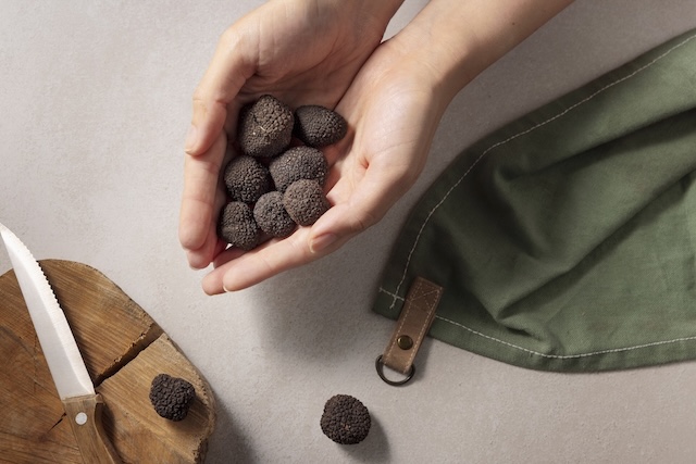 Manos cogiendo trufas frescas