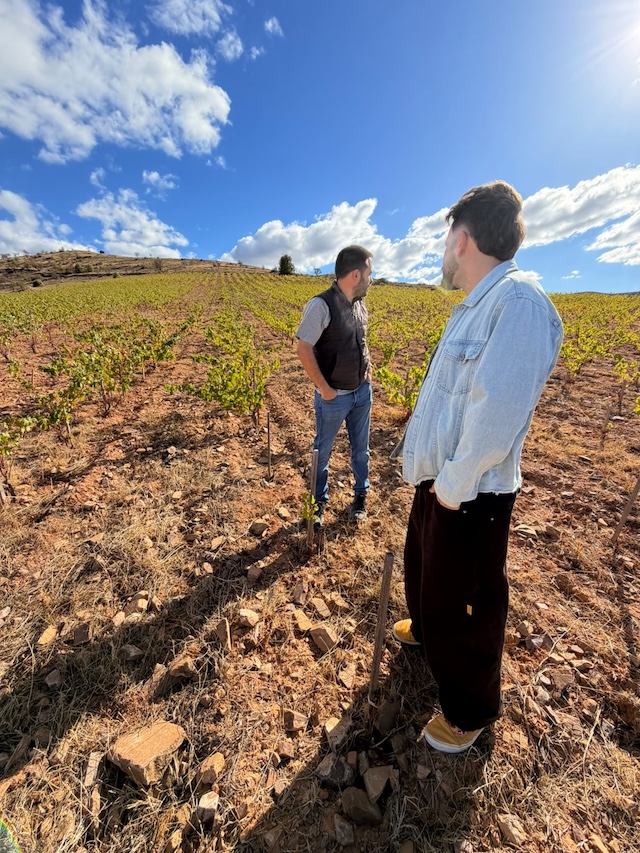 Dos personas recorriendo el viñedo donde se elaboran los vinos de Jorge Temprado