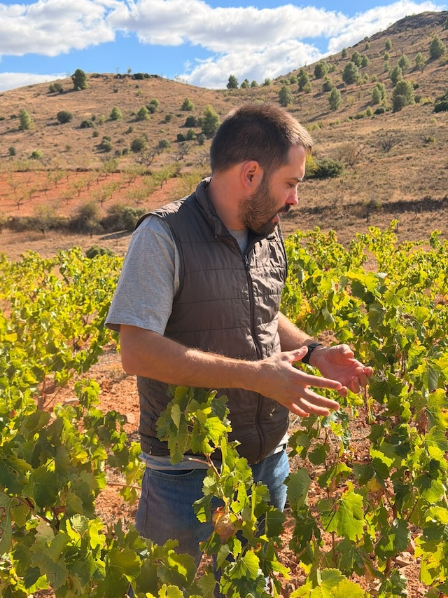 Visita al viñedo donde nacen los vinos de Jorge Temprado en La Vilueña
